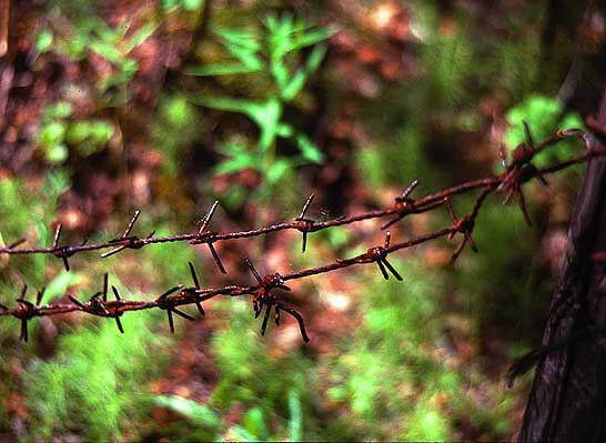 chains