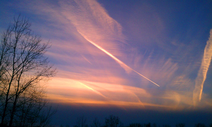 Chemtrails over sunset with tree in shot