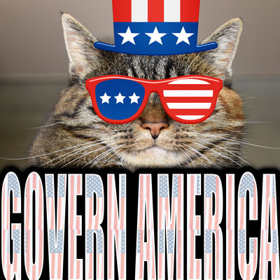 Patriotic cat has red, white, and blue hat and glasses on.